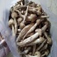 Nấm mối tươi ngon loại 1